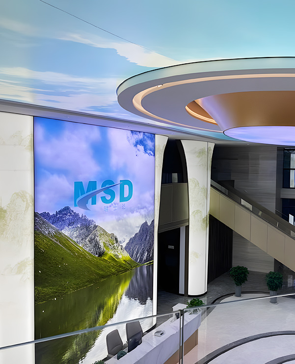 Zhejiang MSD Group Share Co., Ltd.