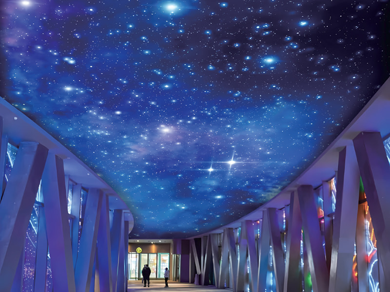 Art printed ceiling soft film